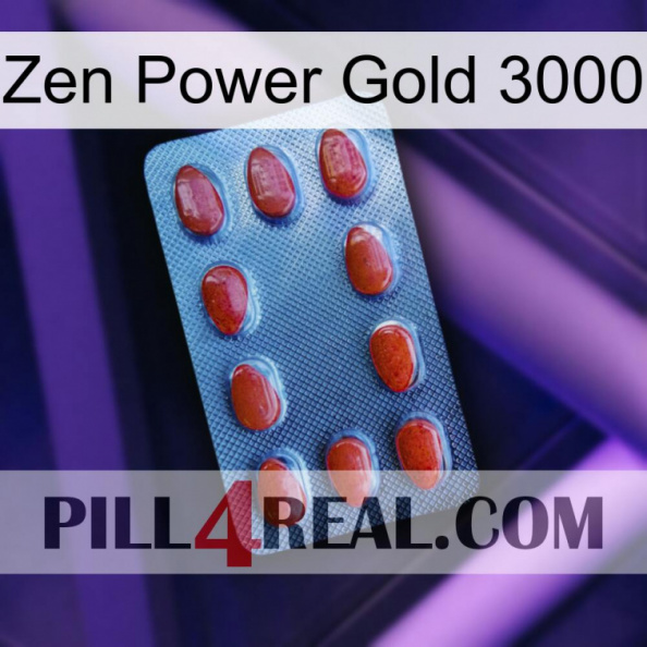 Zen Power Gold 3000 06